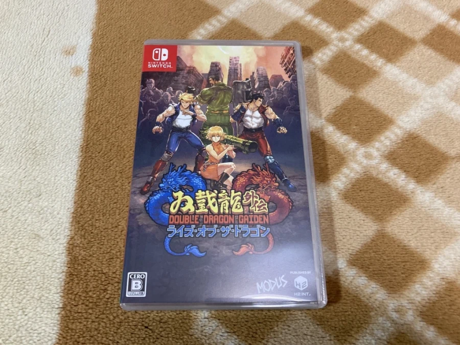 더블 드래곤 "게임보이(双截龍)" & "스위치(REVIVE)"_188.webp