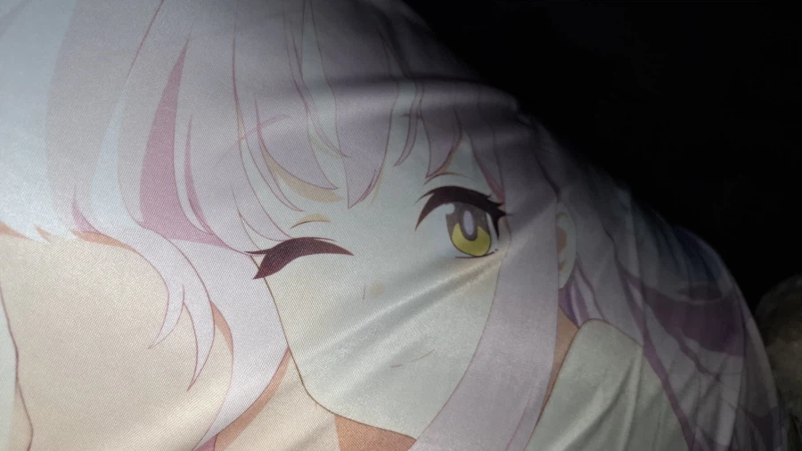 다키마쿠라 이런거 사는 애들 진짜 이상한 듯_1.webp