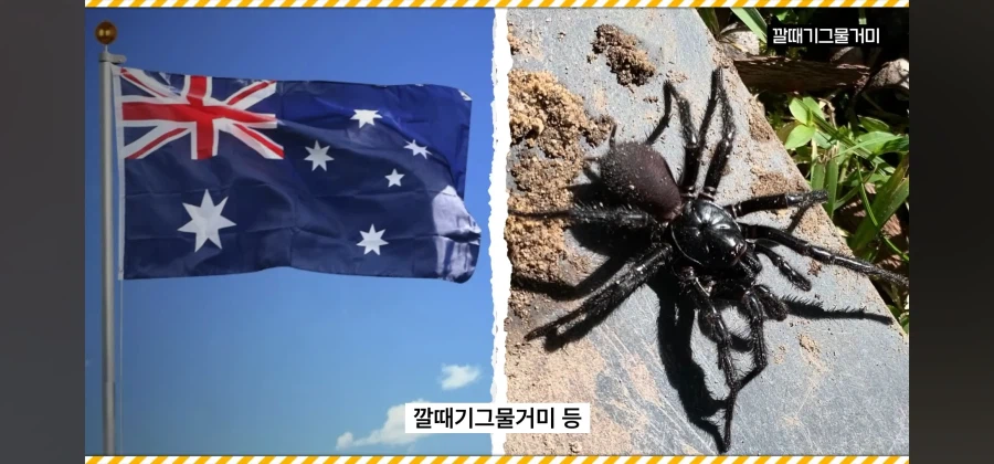 아동명작 애니메이션이 호주에서 검열당한이유_17.webp