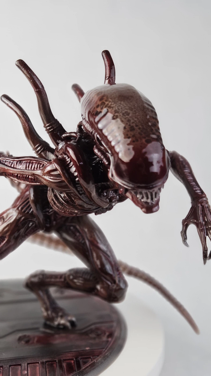 ALIEN [Xenomorph 제노모프] 두 번째._13.webp