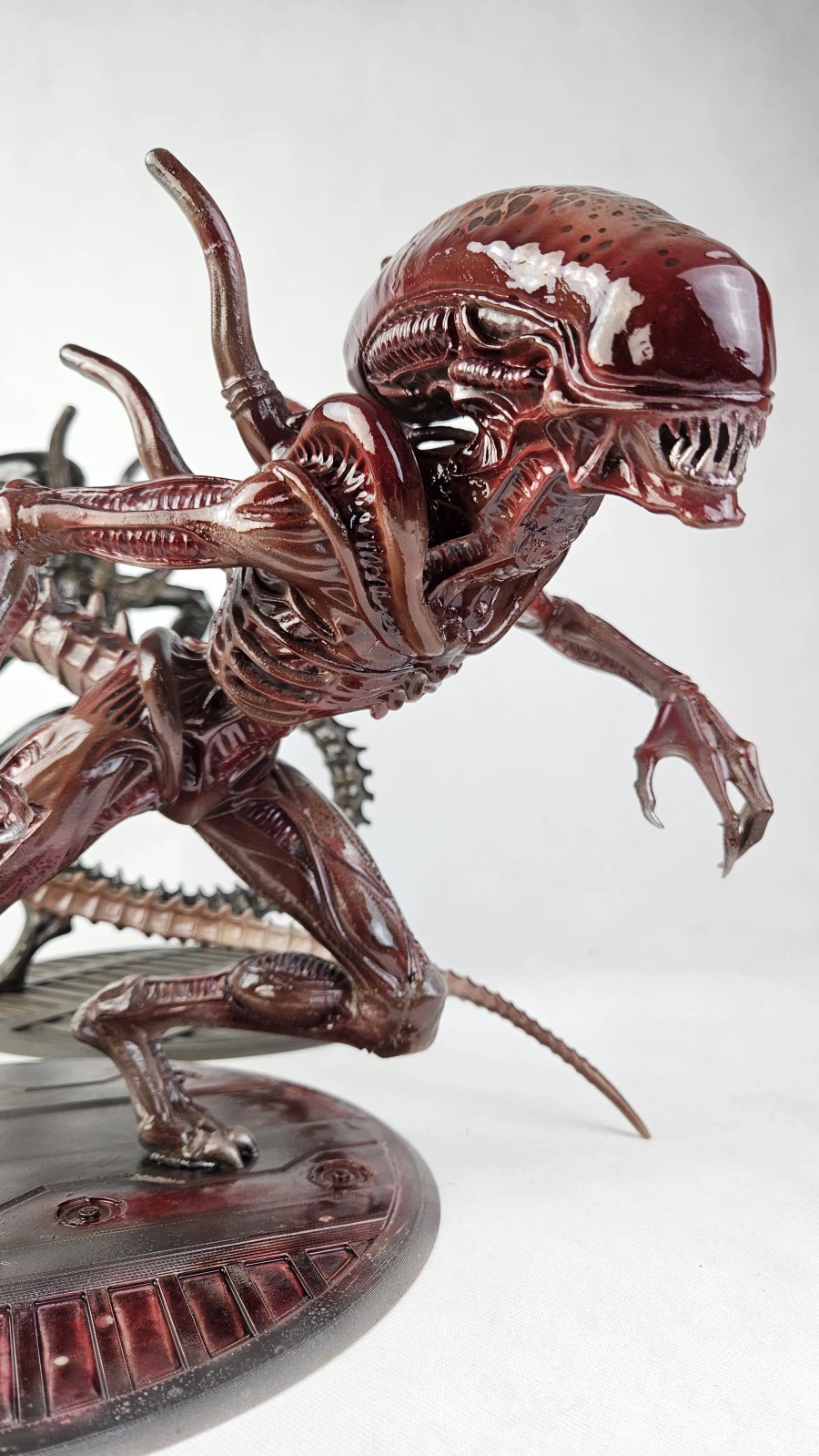 ALIEN [Xenomorph 제노모프] 두 번째._26.webp