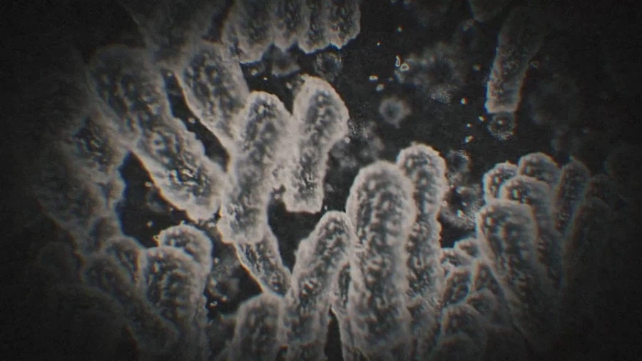 [Fate/strange Fake] 존나 압도적이던 페일 라이더의 강림_11.webp