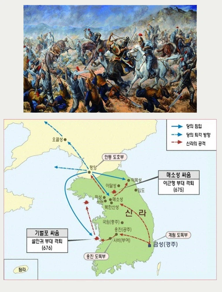 800살이라 알려진 반계리 은행나무 나이는 거짓.jpg_3.webp