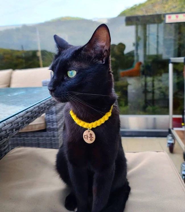 박수홍 사건에 지대한 영향을 끼친 자_1.webp