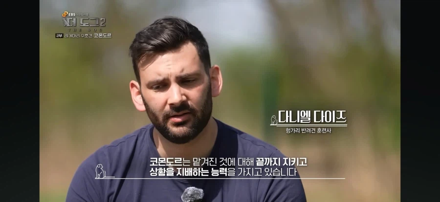 늑대도 잡는다는 최강의 개_2.webp