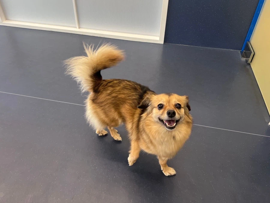 사람 많으니 범죄 좀 저지르겠습니다_4.webp