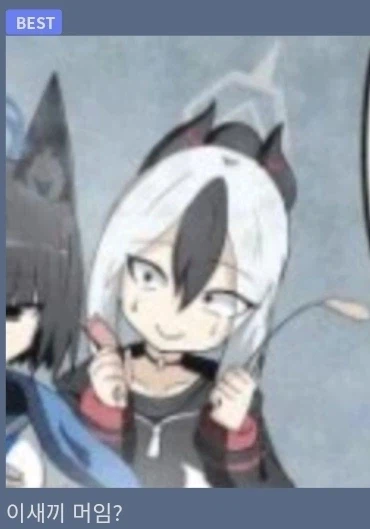 이새끼 머임?_2.webp