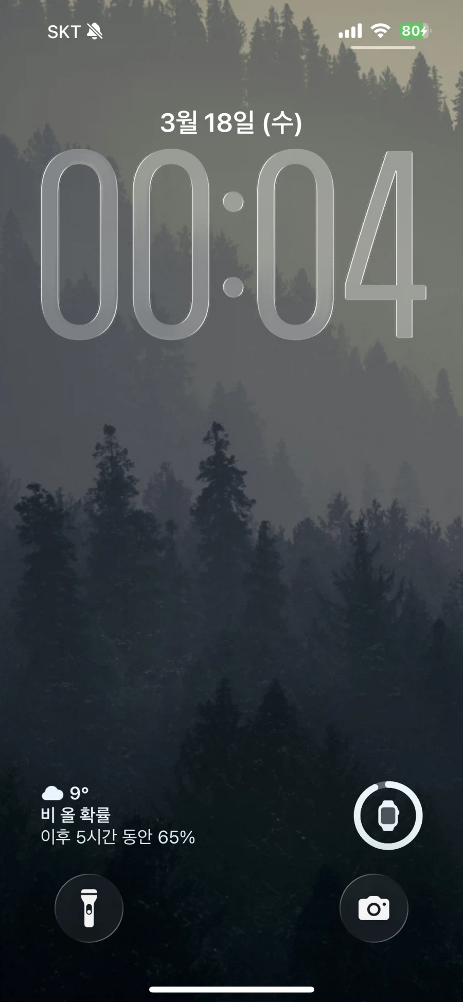 진짜 오랫만에 배경화면 바꿔보네_1.webp