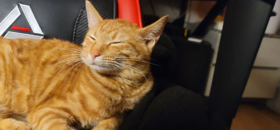 어린이 성장과정_9.webp