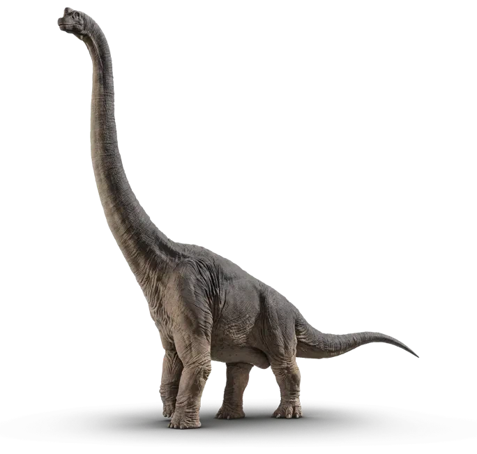 좋아하는 공룡별 애들 성격_3.webp