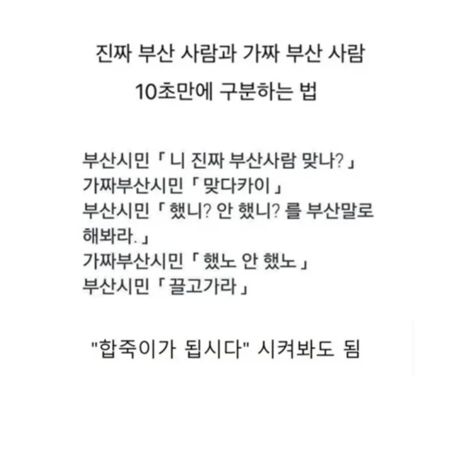 진짜 부산사람과 가짜 부산사람 10초만에 구분하는 법_1.webp