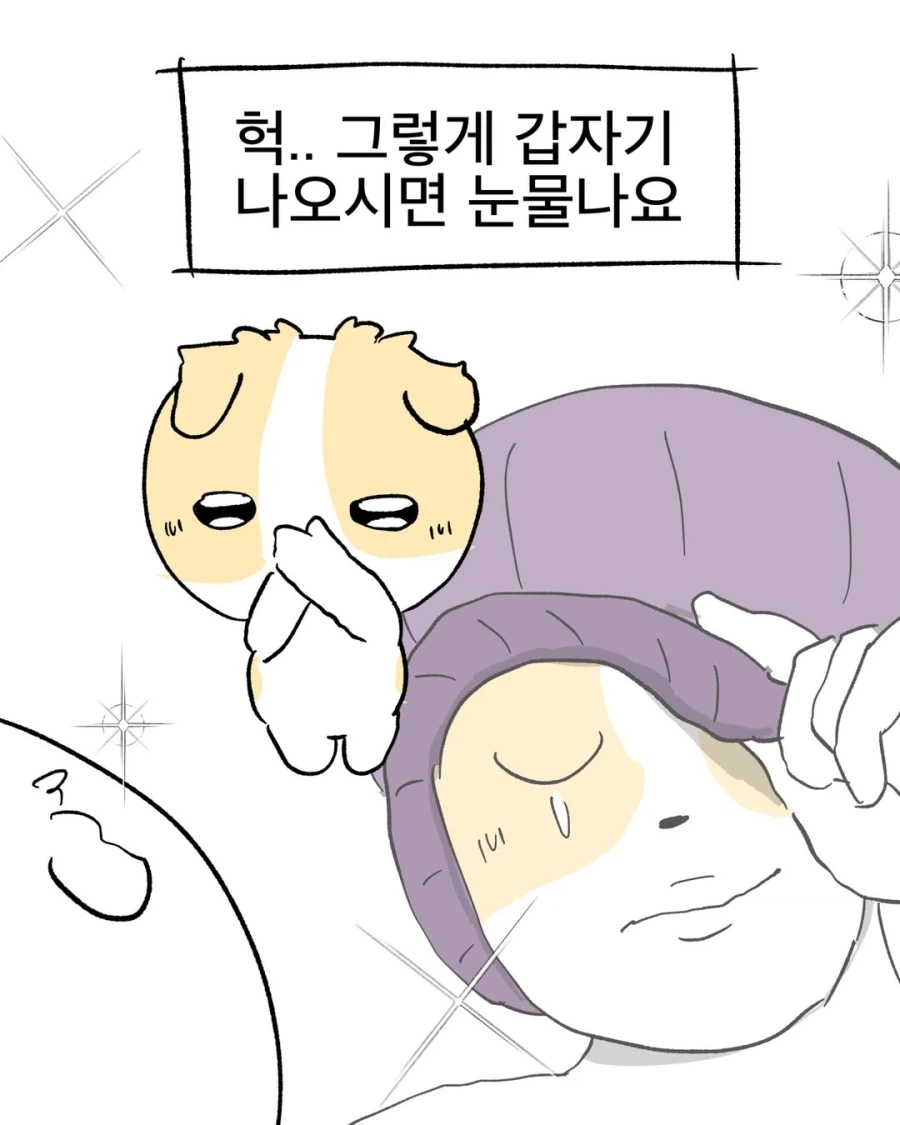 모르면 당하는 음지 밈을 사용했다.manga_11.webp