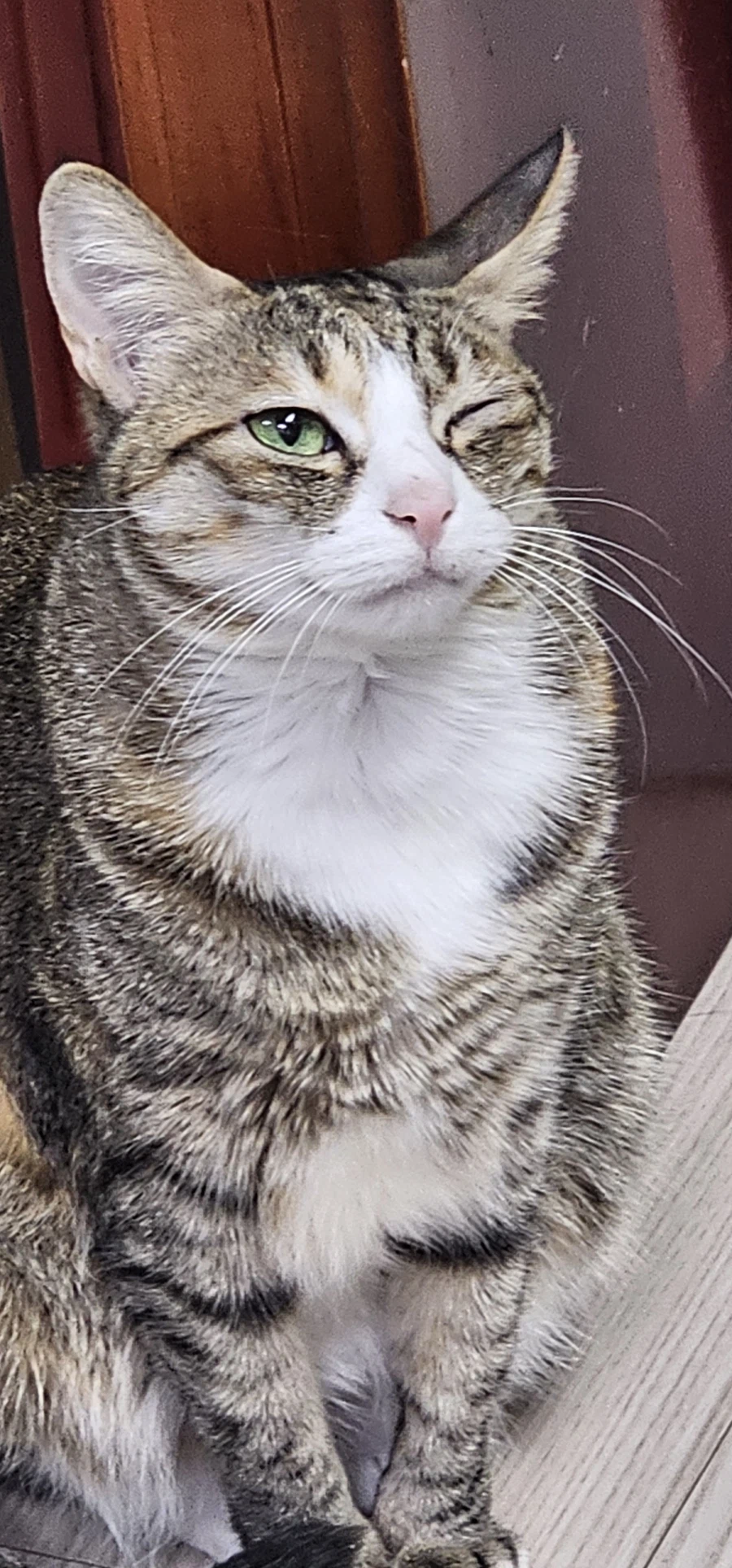 친구부부 결혼기념일 사진에 악플단 후기_1.webp