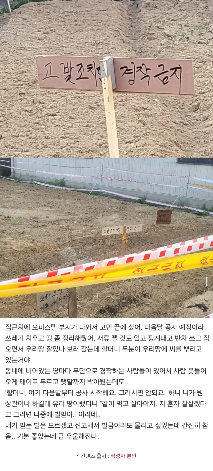 빈땅 살때 농약먼저 듬뿍 뿌려야 하는 이유_1.webp