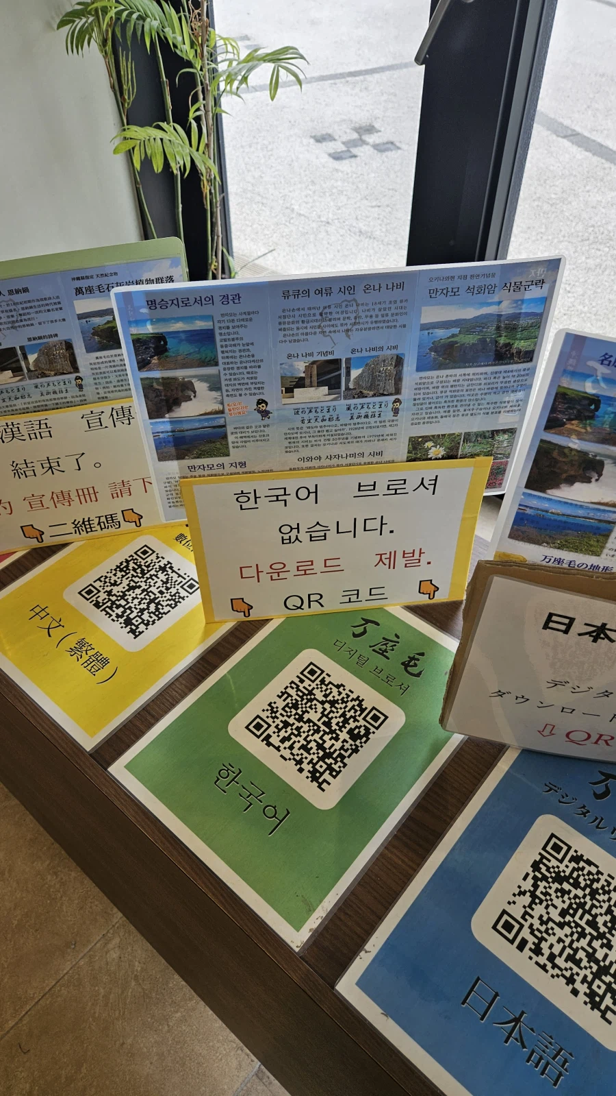 [일본]오키나와 최초의 드라이브인 레스토랑 씨사이드 드라이브인_3.webp