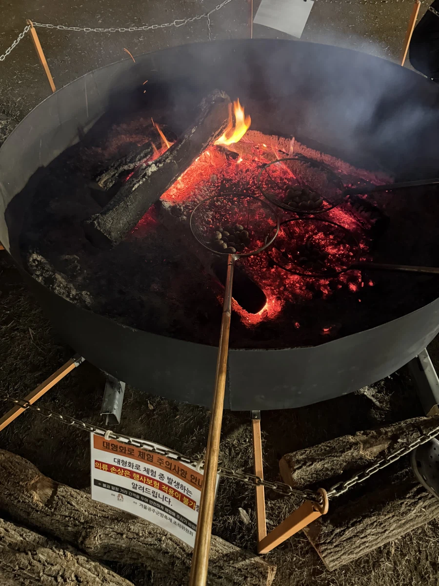 새벽엔 역시 이런 떡밥으로 불판 올리는거 좋지 않아?_2.webp