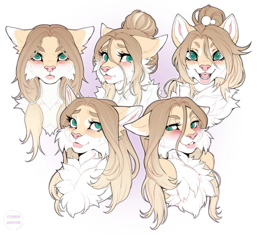 모닝의 퍼리퍼리야_1.webp