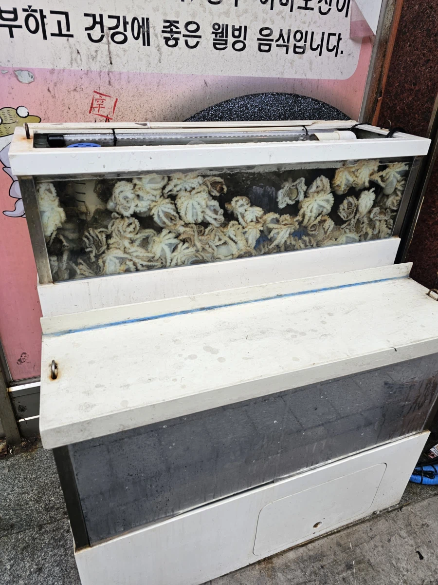 봄제철 쭈꾸미를 먹어봅시다~!_1.webp