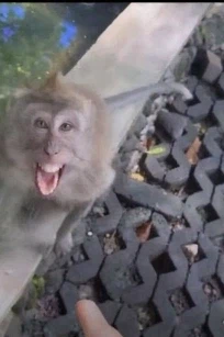 재명이 씨1발년아_1.webp