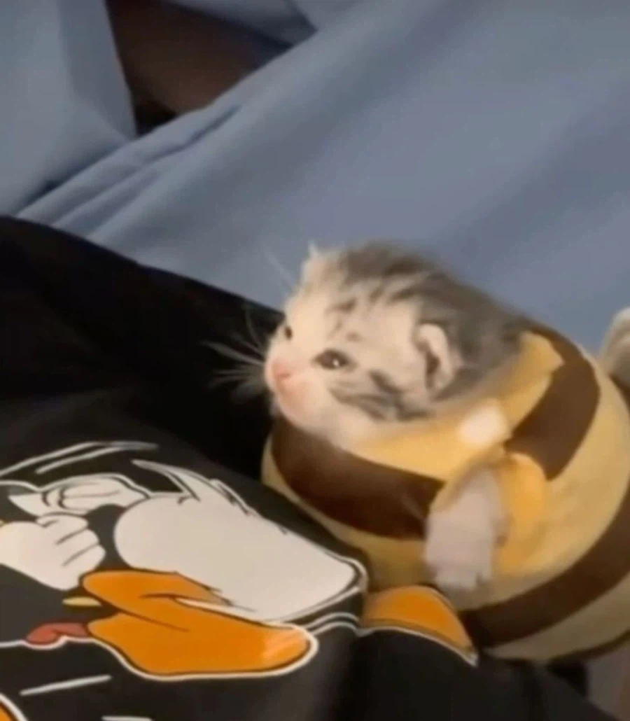 순애였다 NTR/난교 드리프트 하는 거 좀 당황스러움_1.webp