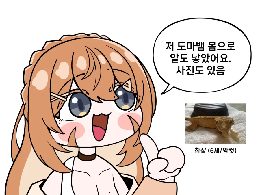 버튜버) 찹샬님 설정이 생각보다 무시무시(?)하네_2.webp