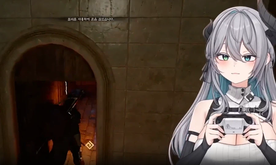 버미육,붉은사막)화장실 잠궈두지 말라고!!!!_4.webp