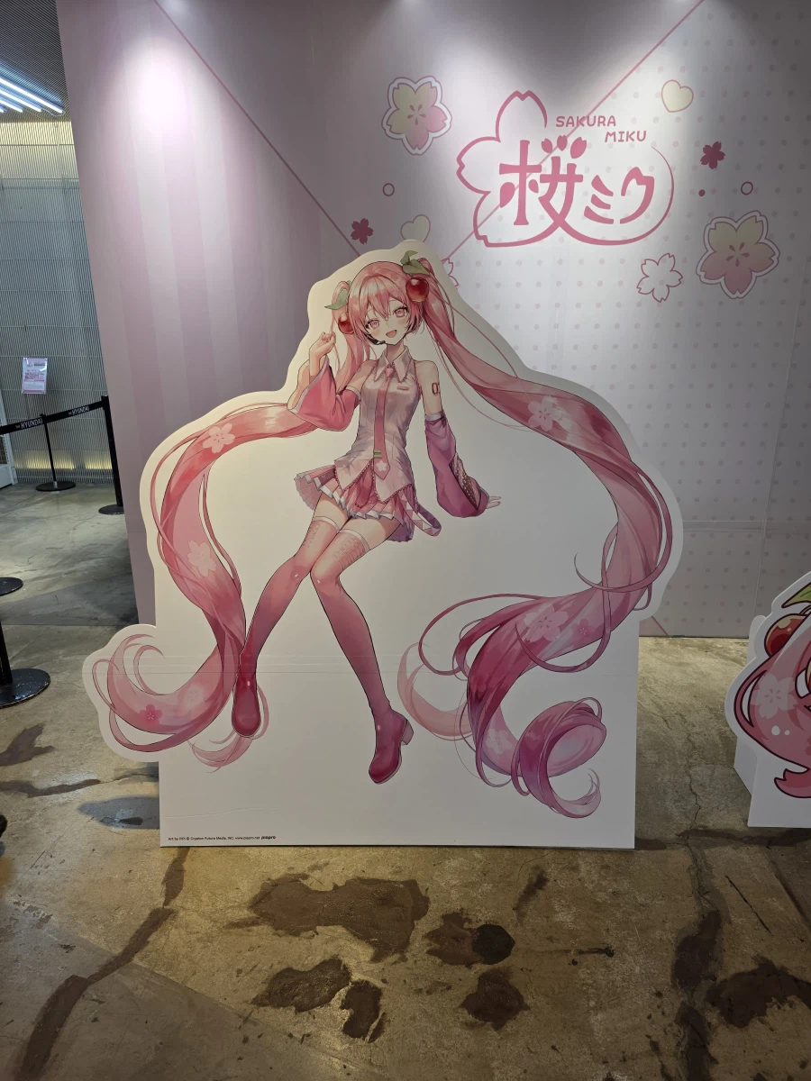 그러고보니 신촌현백에서 사쿠라미쿠 팝업열었더라_1.webp