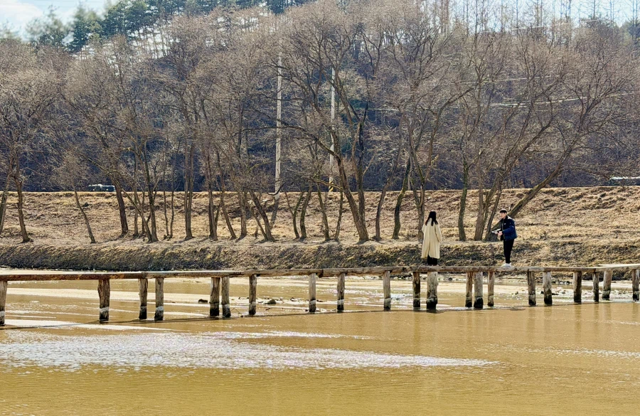 영주 무섬마을_5.webp