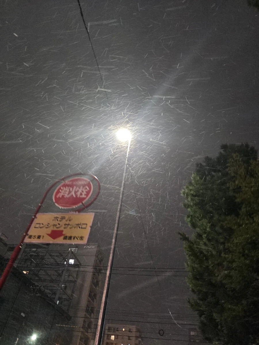 일본 근황_10.webp