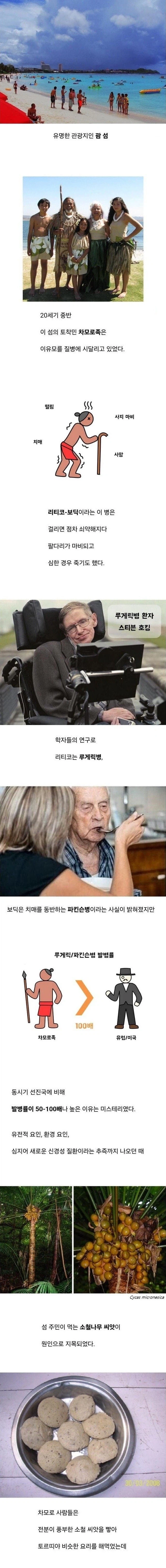태평양 한 섬의 비극_1.webp