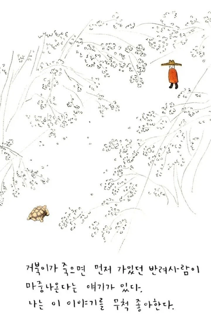 흔하게 접하는 장생종의 비극_1.webp