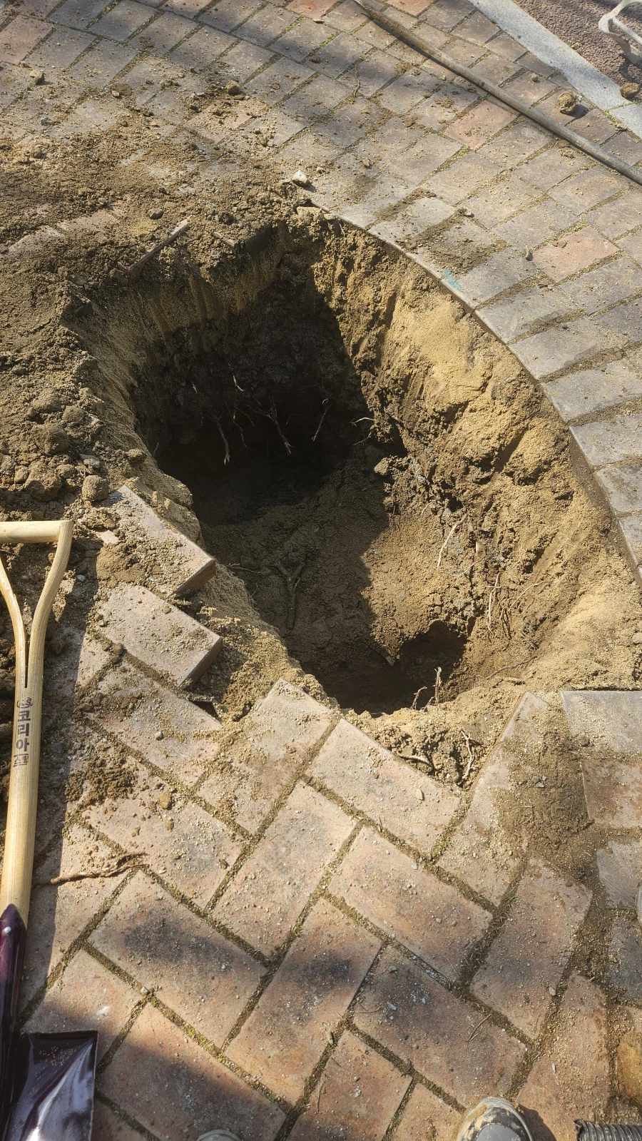 원화 채굴의 시간이다!!_1.webp