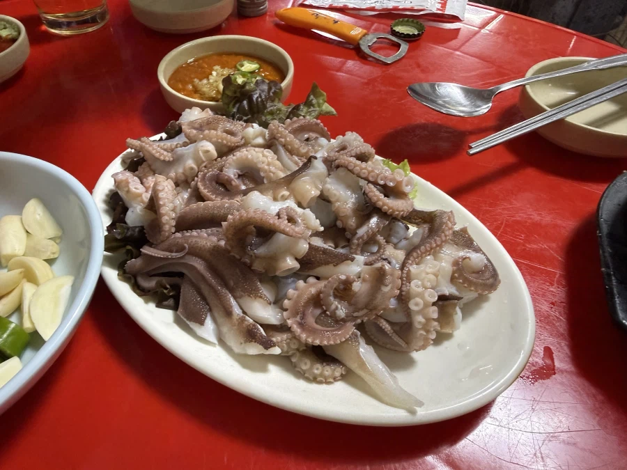 봄 하면 떠오르는 것들 (feat. 제철무새)_3.webp