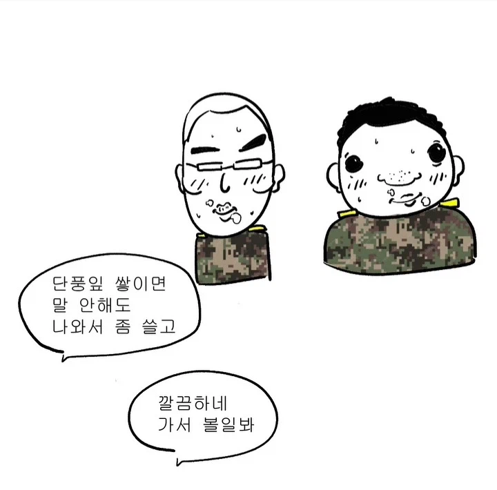 관심병사들한테 주어진 특수보직 만화.JPG_10.webp