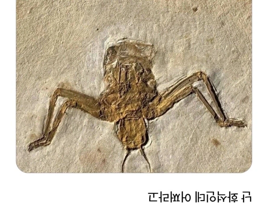 아기가 나오고 있어요옷옷♥︎♥︎♥︎♥︎_1.webp