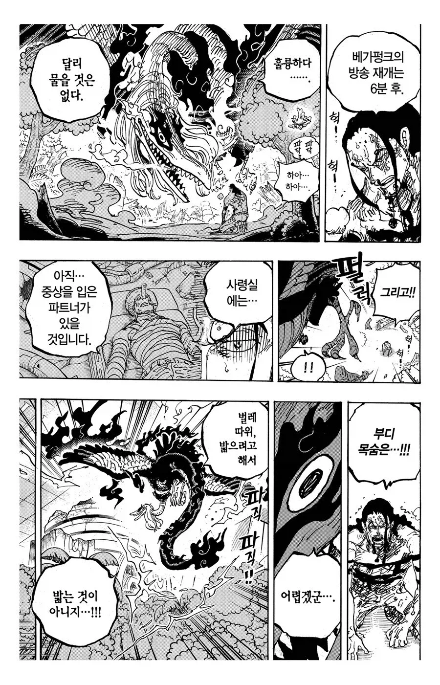 원피스 스포 업무 수행능력의 차이_7.webp