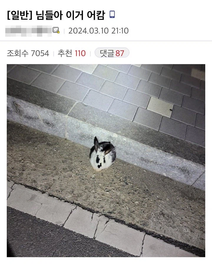 패드립 빌드업_1.webp