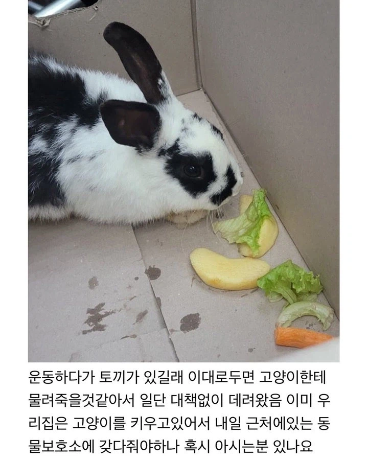 패드립 빌드업_2.webp