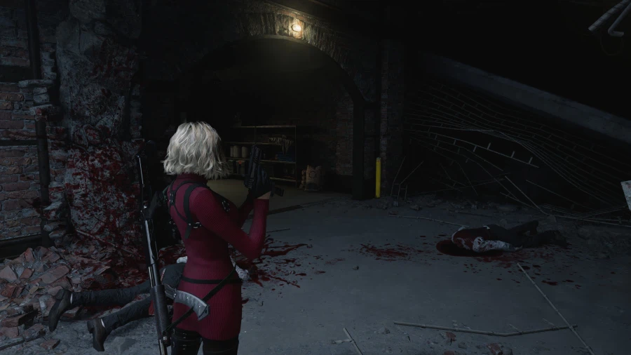 본게임 시작했습니다 (모드 )_1.webp