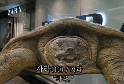 버튜버) 소라쟝 숏츠가 올라왔다_3.webp