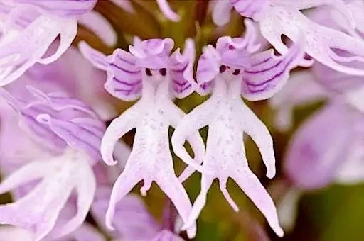 힘 쎄고 좋은_2.webp