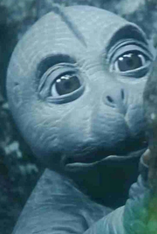 고지라)쇼와 시절 미니라는_8.webp