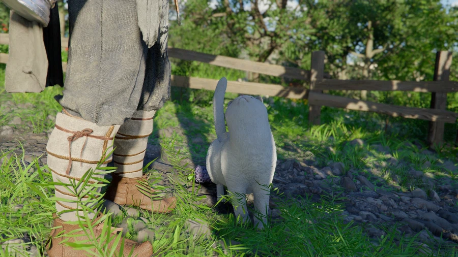 붉은사막) 길에서 만난 하얀 고양이_7.webp