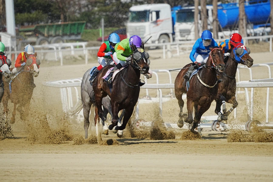 과천 경마장_6.webp