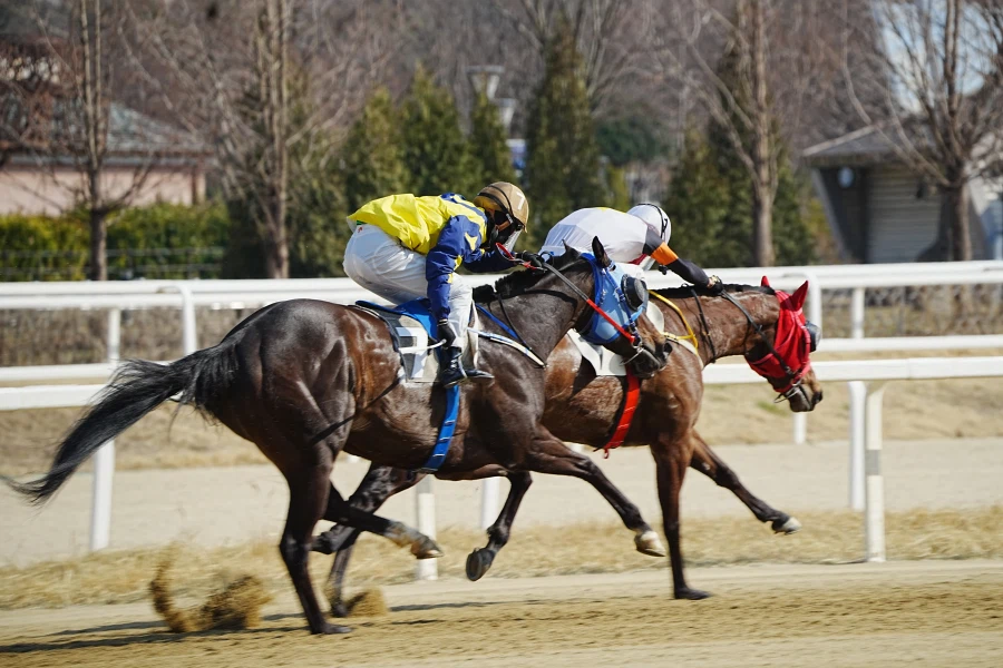 과천 경마장_7.webp