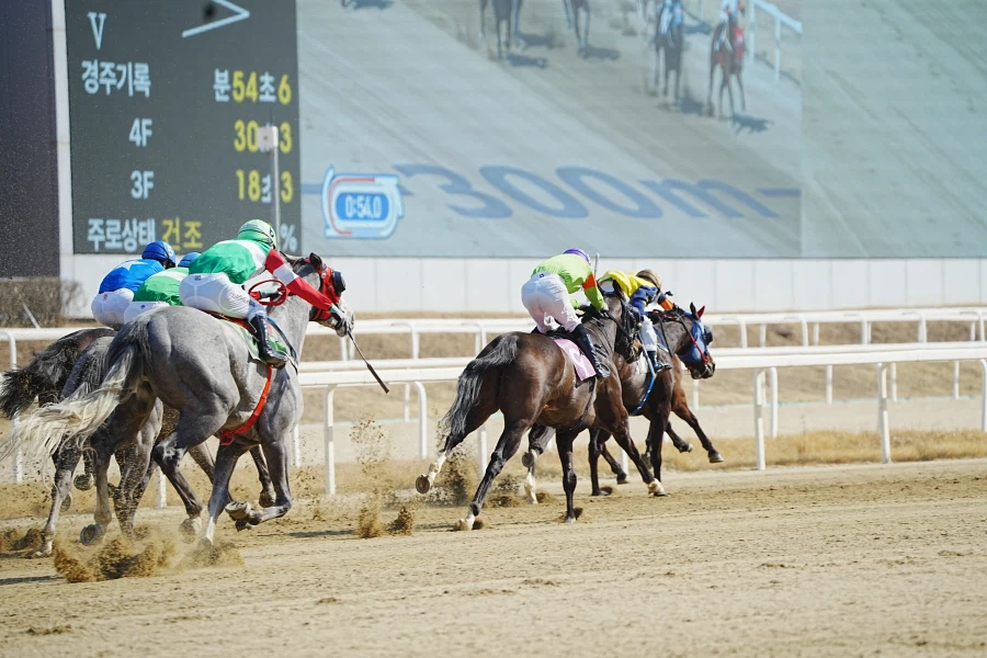 과천 경마장_10.webp