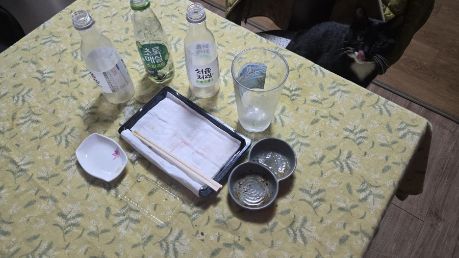 야옹이랑 참치회 먹음:-)_14.webp