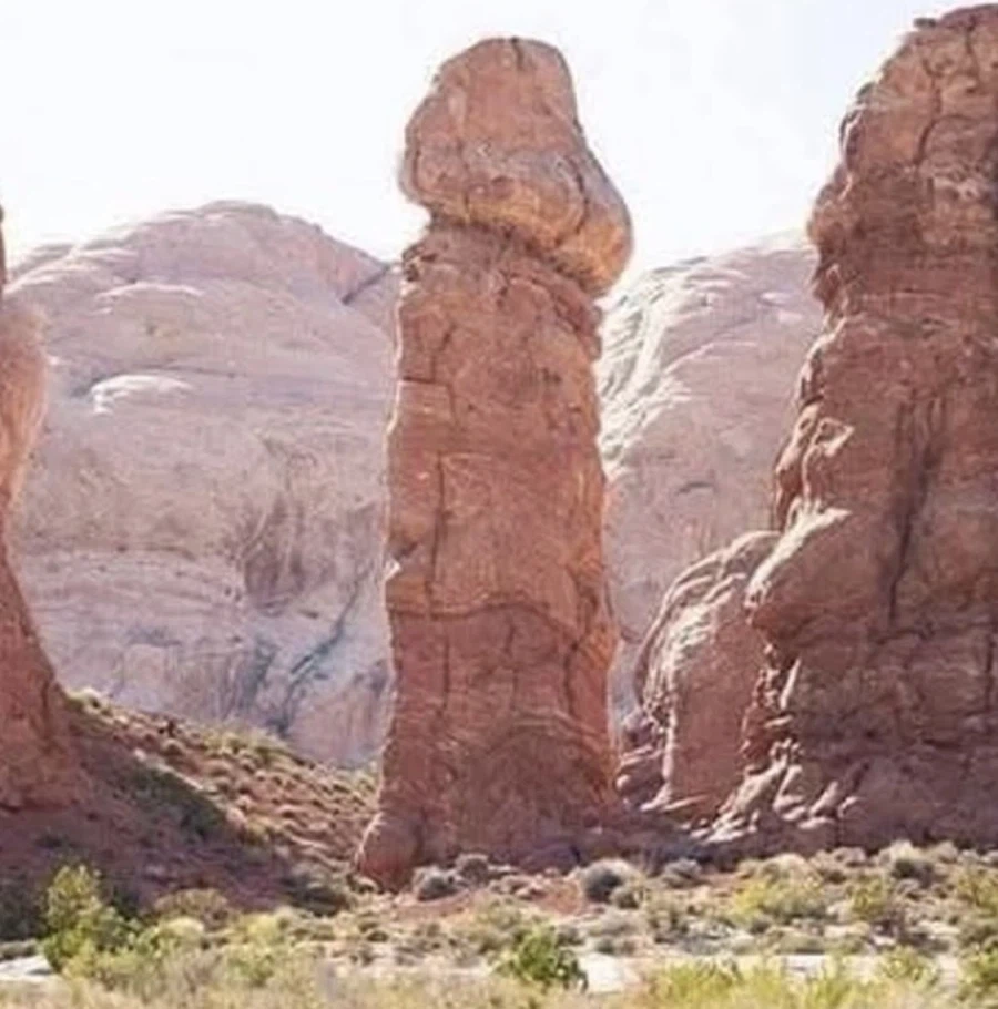 지구가 수컷인 이유_1.webp