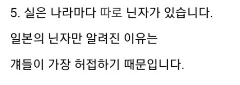 일본의 닌자만 유명한 이유_1.webp