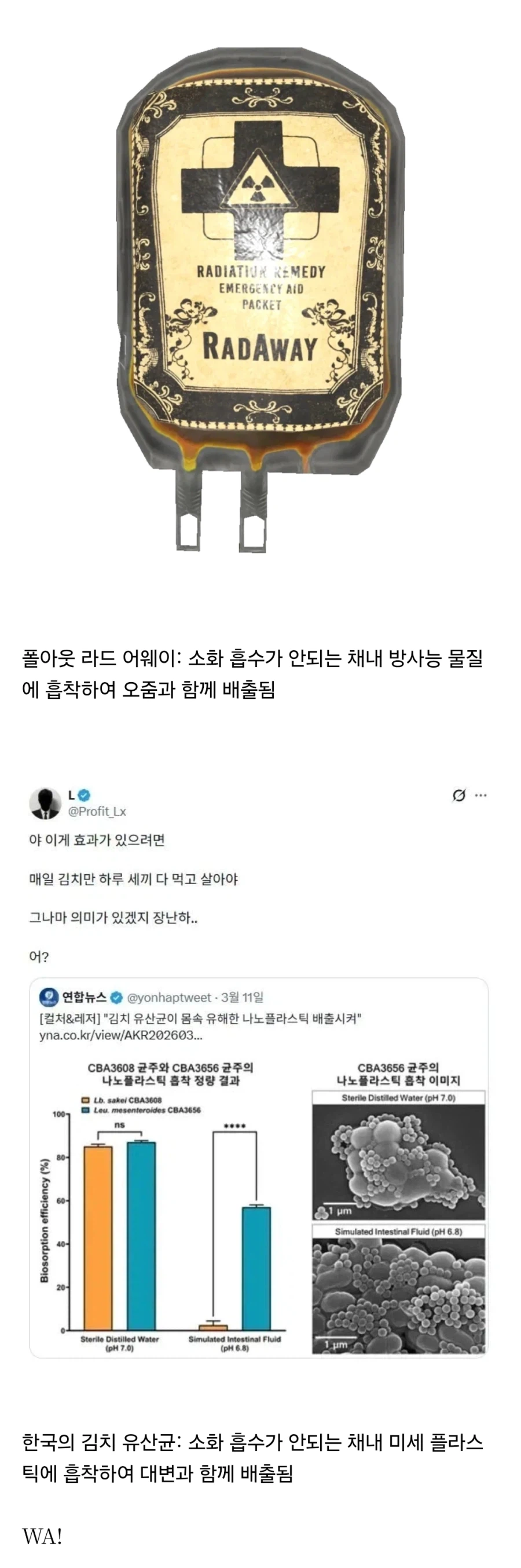 김치 유산균의 미세 플라스틱 배출 원리가 폴아웃 라드어웨이 원리랑 같음_1.webp